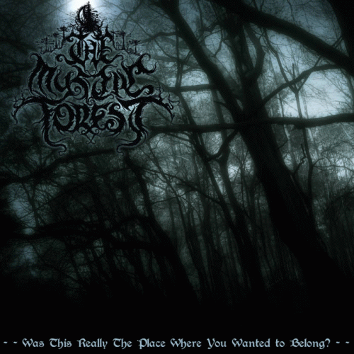 The Mystic Forest : Was This Really the Place Where You Wanted to Belong?